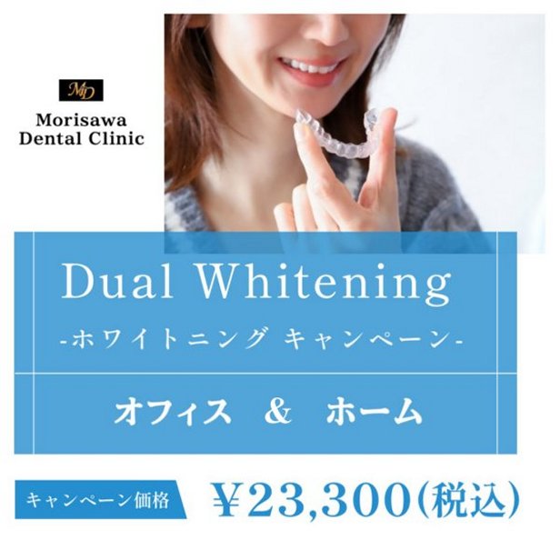 �e�B�I�� �z�[�� �v���`�i�ƃI�t�B�X�z���C�g�j���O�̃f���A���z���C�g�j���O�Ŕ������ێ�